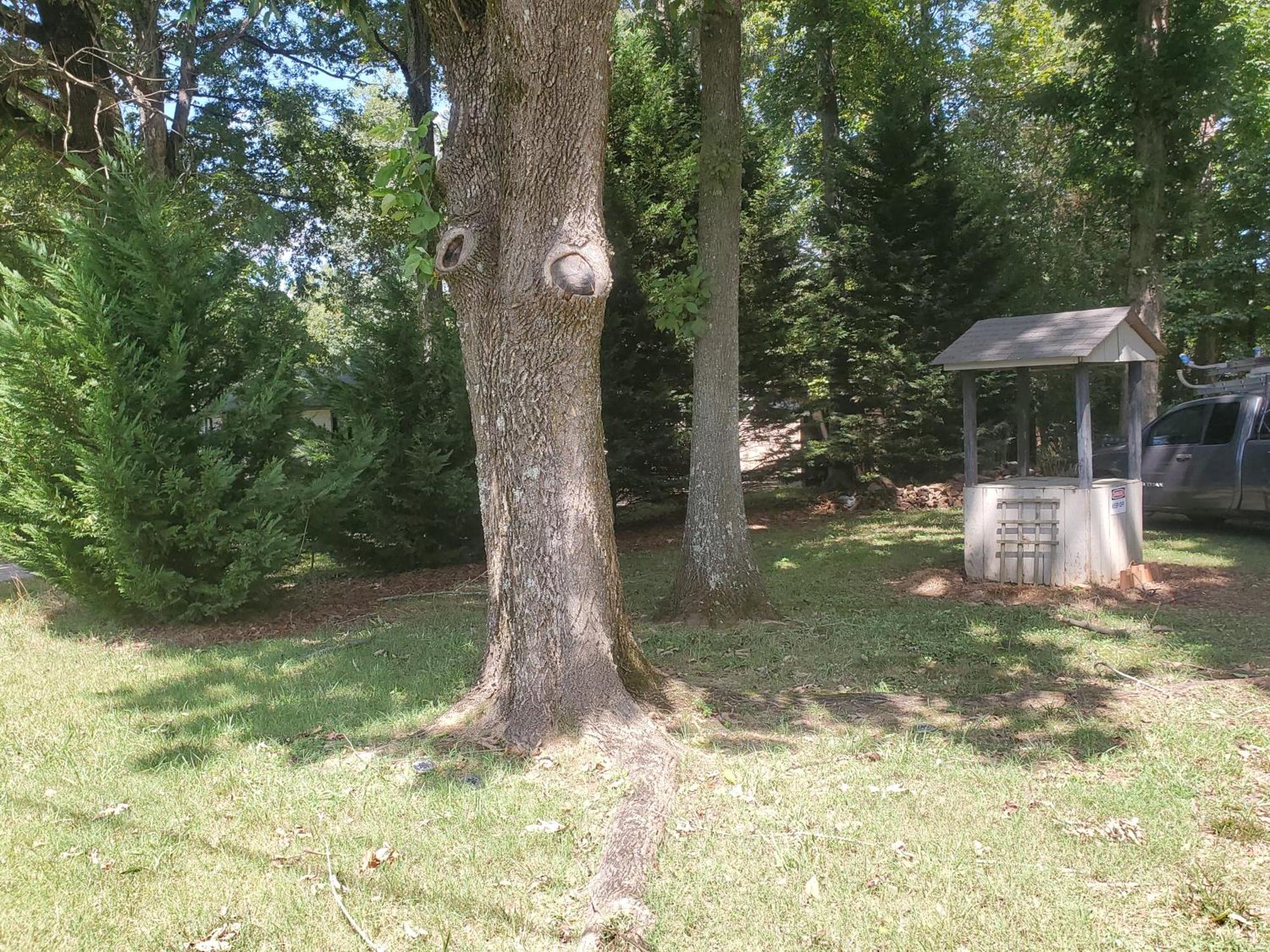 Private Single Level Standalone House Large Lot - 3 Bedrooms Charlotte Esterno foto